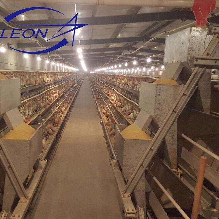 a type layer cage system