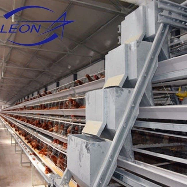 Layer Cages Egg Chicken Poultry Farm