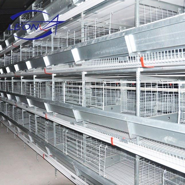 Layer Chicken Battery Cage Layer Chicken Battery Cage