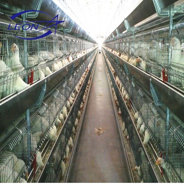 Layer Chicken Battery Cage Layer Chicken Battery Cage