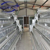 A Type Cages Layer Broiler Coop