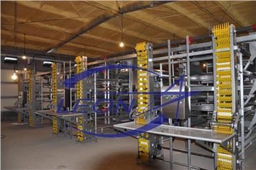 Κλουβί κοτόπουλου στρώματος τύπου H