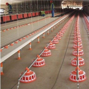 Πλαστικό Σύστημα Τροφοδοσίας Τηγάνιας Κοτόπουλου