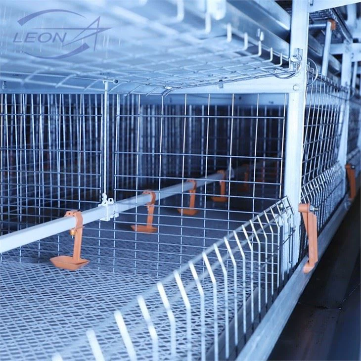 Sturdy H-Type Layer Cage Sturdy H-Type Layer Cage