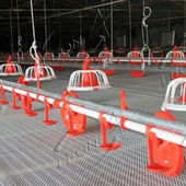 Leon Poultry Ground Raising System Πλαστική πλάκα δαπέδου