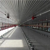 Πλαστική slat για το υψηλής θερμοκρασίας ανθεκτικό κοτόπουλο